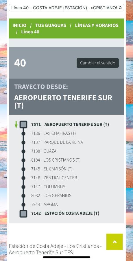 Loft Playa Torviscas,Garaje Gratis , Recien Reformado 阿德耶 外观 照片